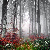 :iconfalling-like-rain: