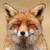 FallingAngel1234 :iconfallingangel1234: