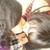 :iconfallingforher: