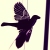 :iconfallingsensibly: