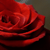 :iconfallingstar: