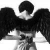 :iconfallingxstarsx: