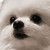 Falljoydelux :iconfalljoydelux: