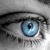 :iconfalllikeautumn: