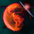 :iconfalloutearth: