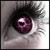 :iconfalon-14: