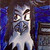:iconfalsestop: