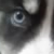 Fan0Fox :iconfan0fox: