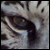 :iconfancy-illusions: