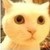 :iconfancychaos: