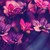 :iconfanficactress: