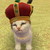 :iconfangsylux: