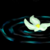 :iconfanim3:
