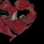 :iconfankakashi: