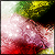 :iconfantasies-of-vanity:
