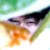 :iconfantasticvoyage-of-n: