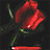 :iconfantasy-rp-club:
