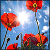 :iconfantasy-smile: