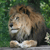 :iconfantasydesignstock2: