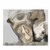 FantasyFlames :iconfantasyflames: