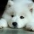 :iconfantasywithinyou: