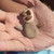 :iconfantomul:
