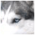 :iconfaoiltiarn: