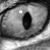 faolruadh :iconfaolruadh:
