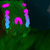 :iconfappyy: