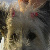 :iconfaraday-chan: