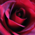 :iconfarhadvm: