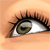 :iconfarhah: