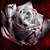 :iconfarida6: