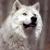 :iconfarkaswolf: