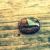 :iconfarmtomarketroad: