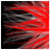 :iconfartnik: