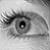 :iconfas-olcia: