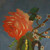 :iconfasanationrose:
