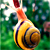 :iconfastassnails: