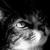 :iconfat-louie: