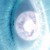 :iconfatash2084:
