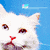 :iconFatcat648:
