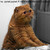 :iconfatcat999: