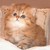 :iconfatcatlovescake: