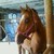 :iconfatdairycows: