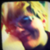 :iconfate-blitz: