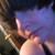 :iconfatespectrum: