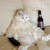 :iconfatestcat: