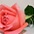 :iconfatestrifuries: