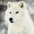 :iconfateswarning01:
